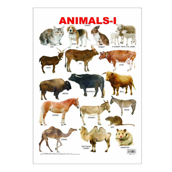 Animals -1 (Early Learning Chart) – Chirukaanuka