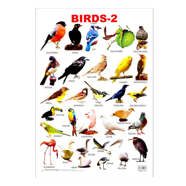 Birds -2 (Early Learning Chart) – Chirukaanuka