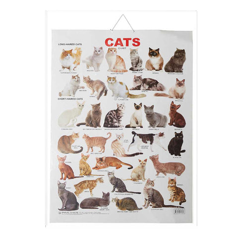 Cat (Early Learning Chart)