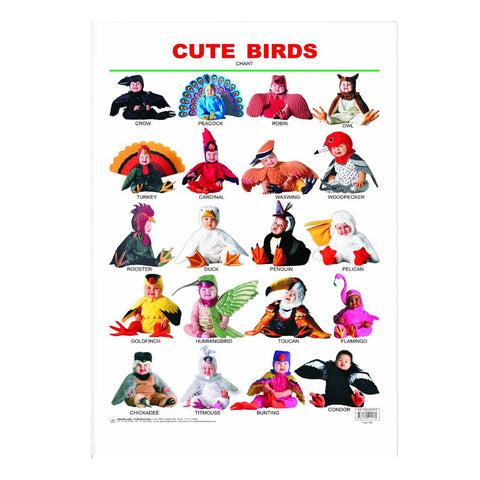 Cute Birds (Early Learning Chart)