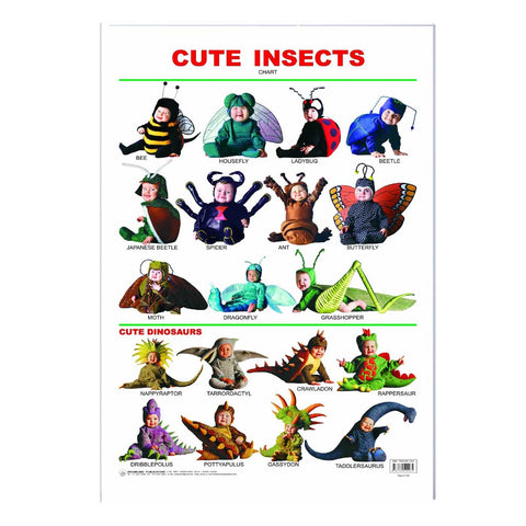 Cute Insects (Early Learning Chart)