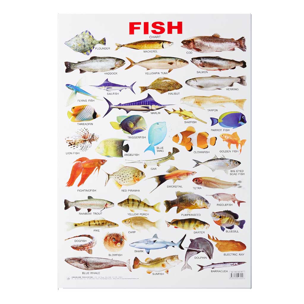 Fish (Early Learning Chart)