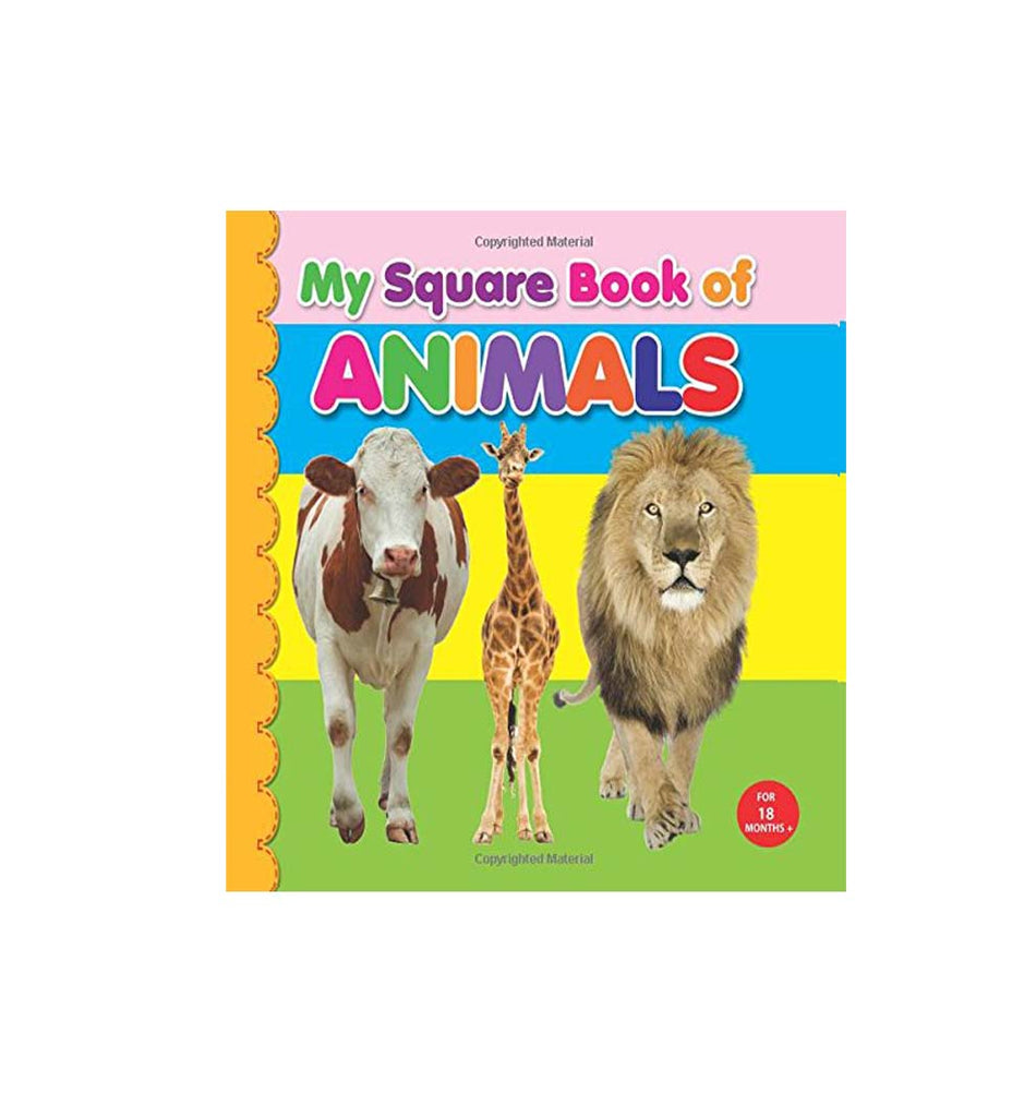 My Square Board Book - Animals (English)