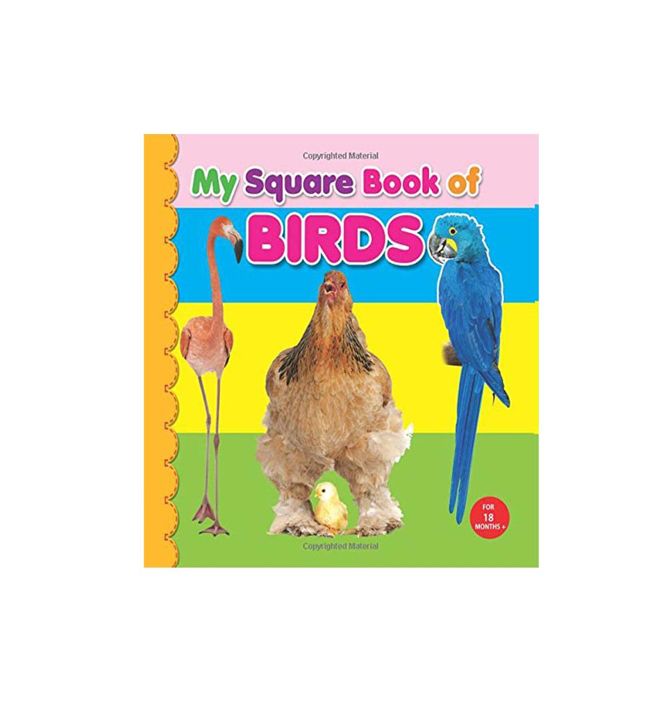 My Square Board Book - Birds (English)