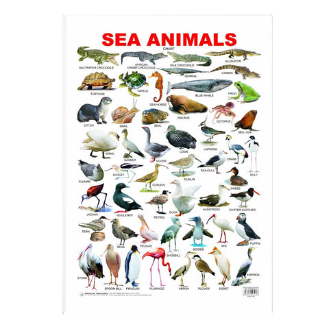 Sea Animal (Early Learning Chart)