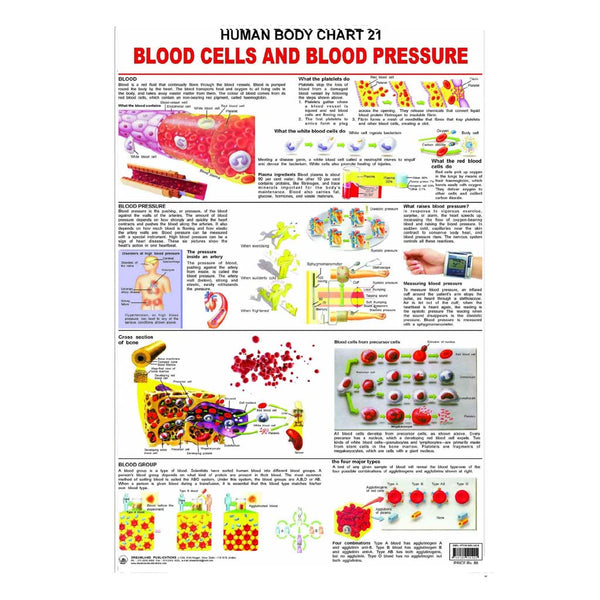 The Blood Group, Cells And Pressure (Early Learning Chart) – Chirukaanuka